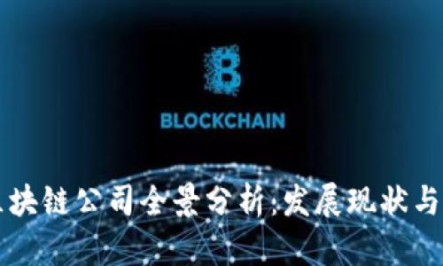 江苏省区块链公司全景分析：发展现状与潜力展望