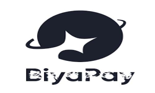 区块链数字化对社会经济的深远影响：变革、挑战与机遇