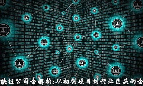 
香港区块链公司全解析：从初创项目到行业巨头的全面扫描