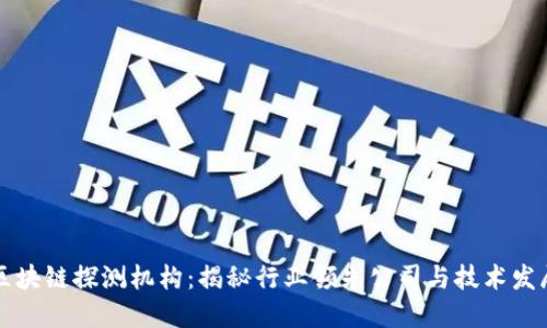 区块链探测机构：揭秘行业领先公司与技术发展