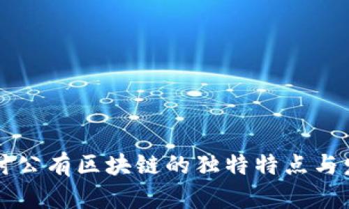 深入探讨公有区块链的独特特点与发展展望