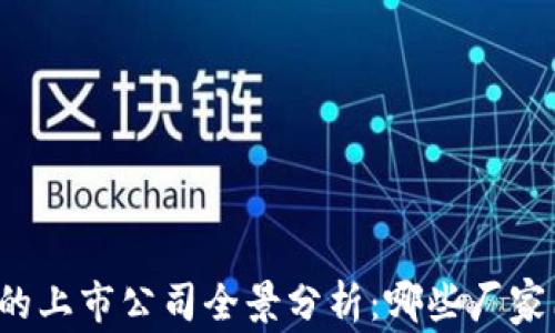
区块链行业的上市公司全景分析：哪些厂家已成功上市？