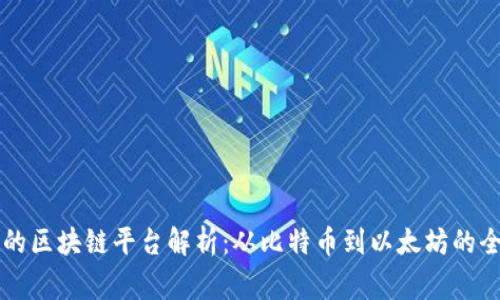 最常见的区块链平台解析：从比特币到以太坊的全景视角