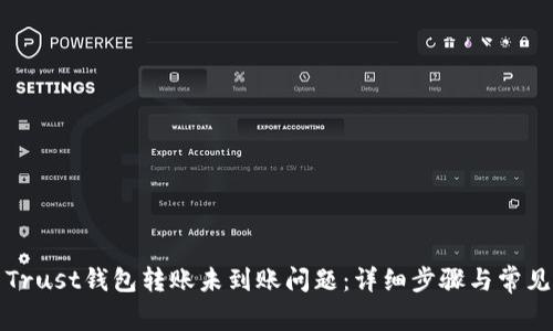 如何解决Trust钱包转账未到账问题：详细步骤与常见原因分析